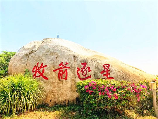 人们欢呼雀跃