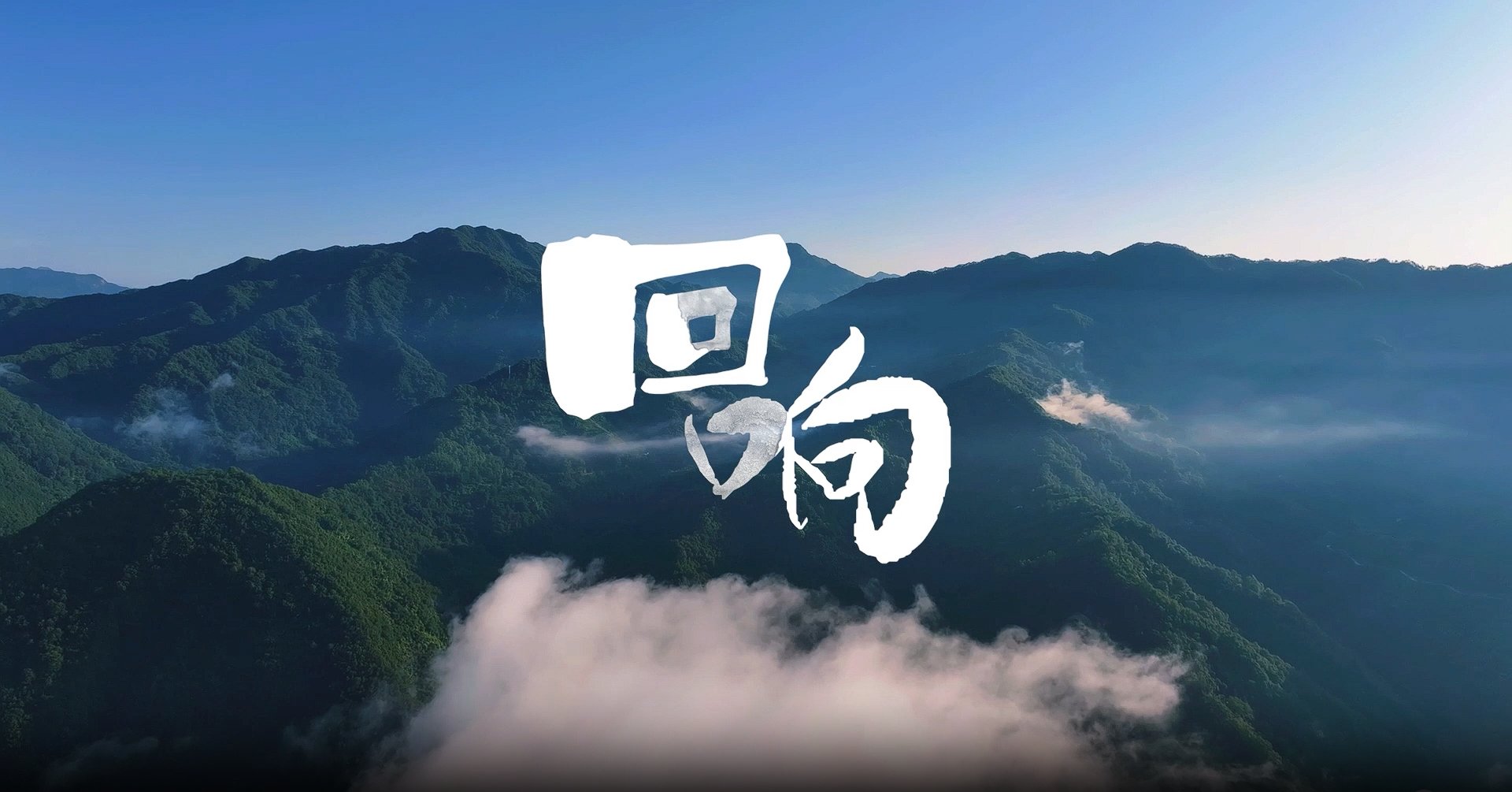 网上有害信息举报
