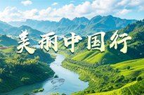 中华人民共和国威廉线上登录发展规划法