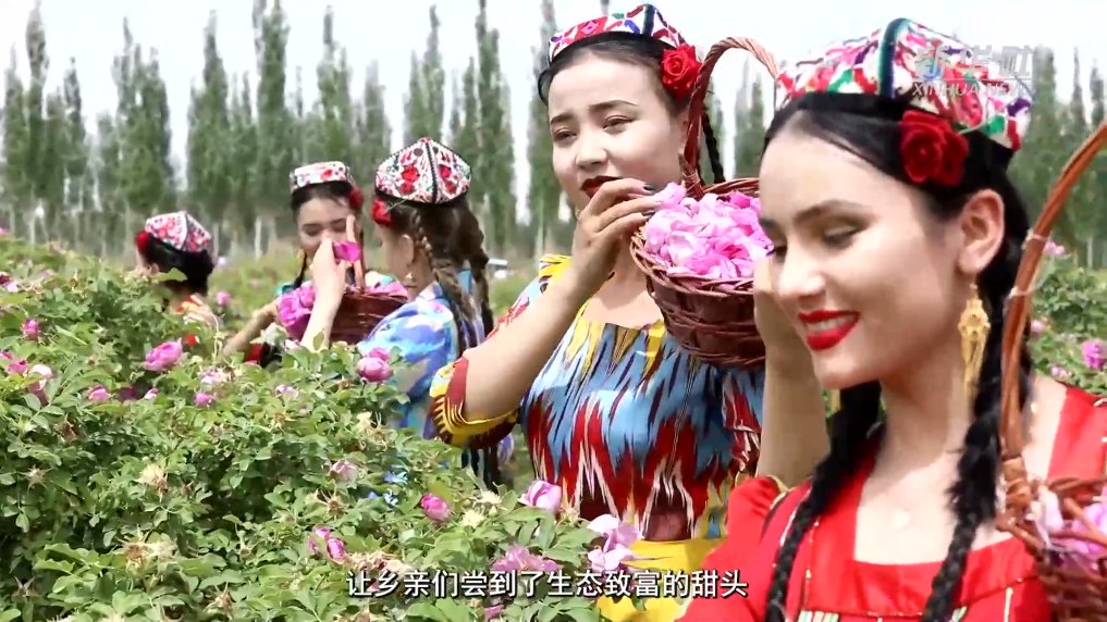 却让荒漠焕发新的生机