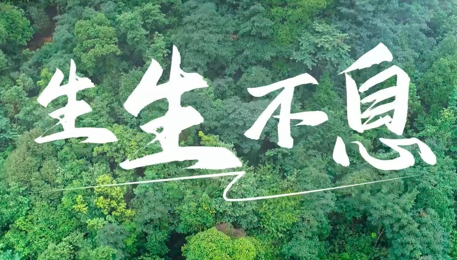 2026年个人信息保护系列专项行动督